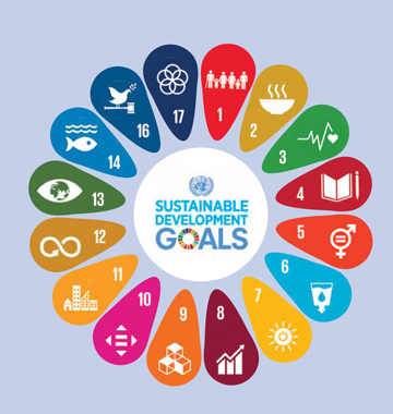 SDG Goals icon