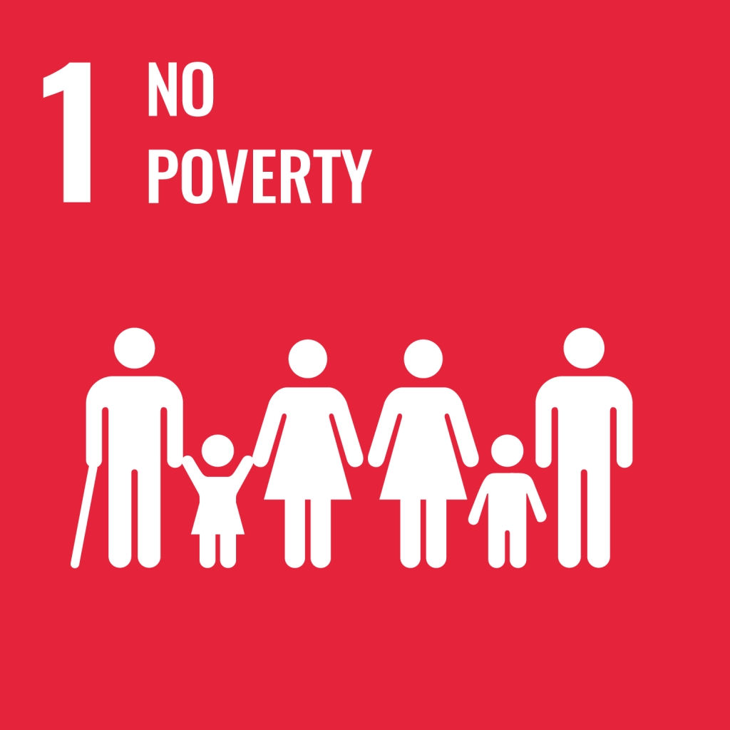 SDG Goals icon